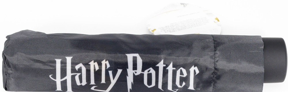 ���� Harry Potter: Hogwarts Stripe