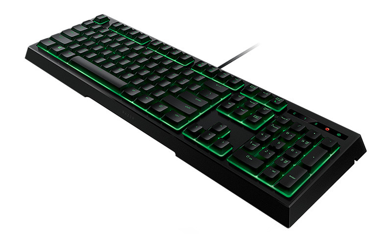  Razer Ornata  -     PC