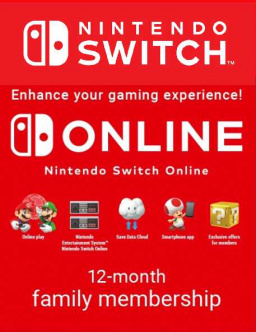 Nintendo Switch Online (   - 12 ) [ ]