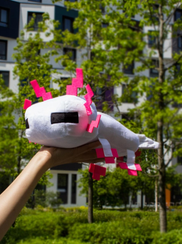 ������ ������� Minecraft � Axolotl (�����) (34 ��)