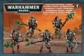   Warhammer 40,000. Necron Lychguard/Triarch Praetorians