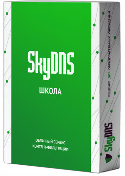      SkyDNS  ( ) 10  (  1 )