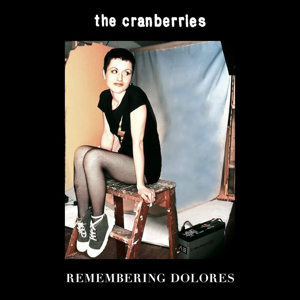 cranberries dolores net worth - Ilustrasi 3