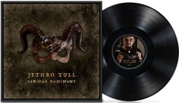 Jethro Tull � Curious Ruminant (LP)