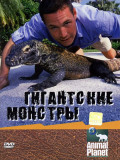 Animal Planet: ���������� ������� (DVD)