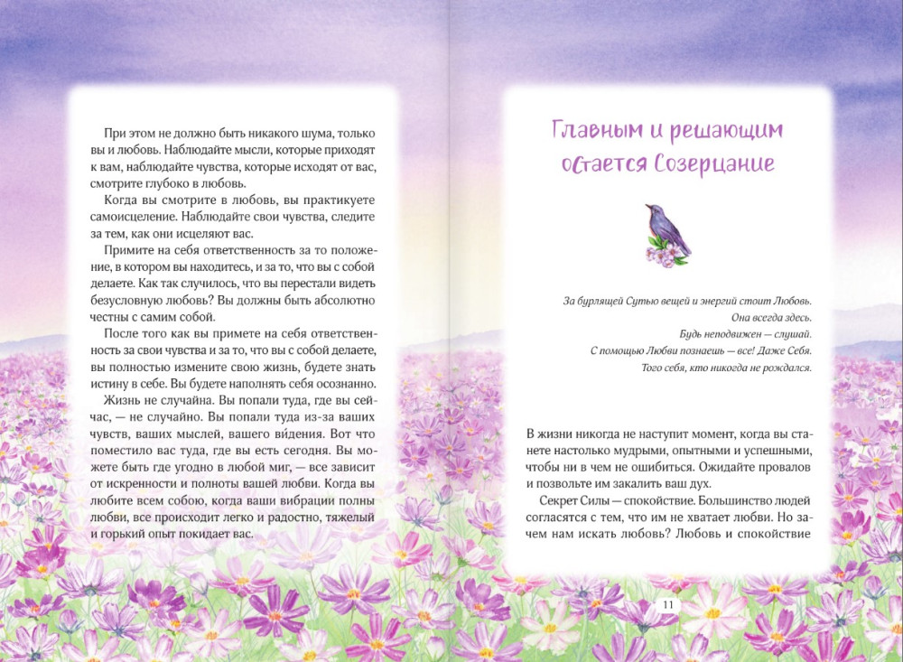 ����� �����: ������ ������ ���� � �����������