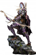  World Of Warcraft: Sylvanas (45,7 )