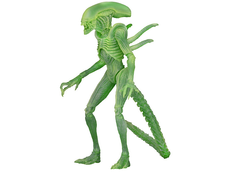  Alien Vs Predator Alien Warrior Thermal Vision (17 )
