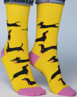 ����� ������ ������� ������ ����� ����