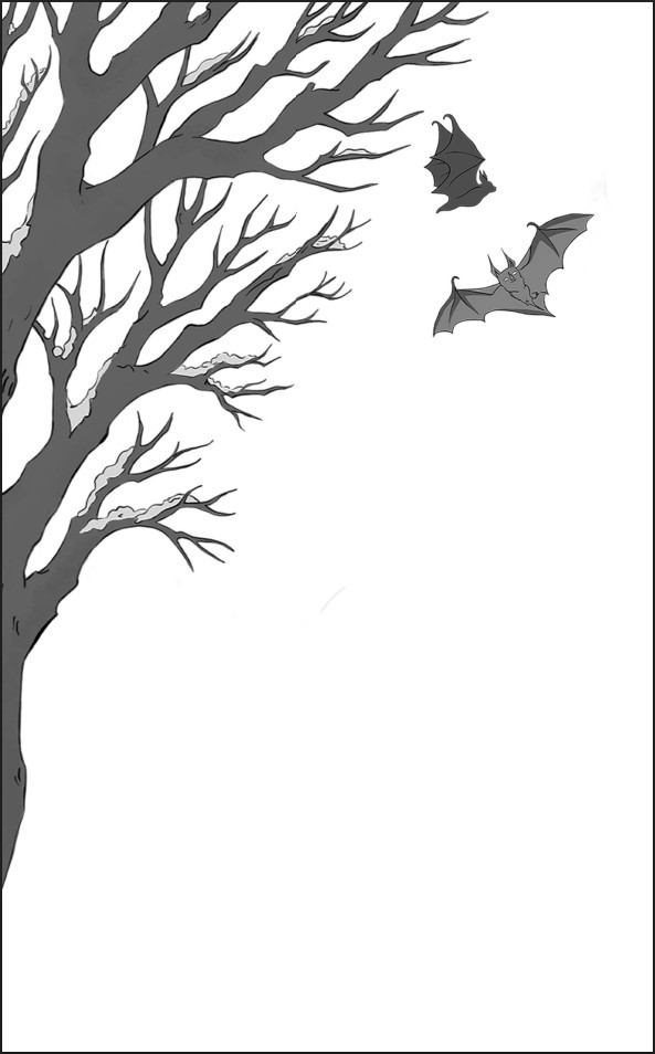 ��������� ���� �������