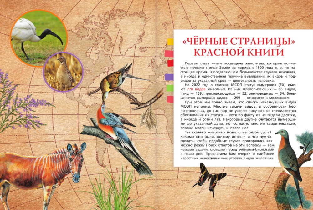 ������� ����� ����: ������ � ����� ��������