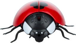 ������� ����� ������� �� ���������� ����������