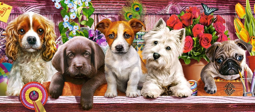 Puzzle-500: ����� �� ����� (Puppies on a Shelf)