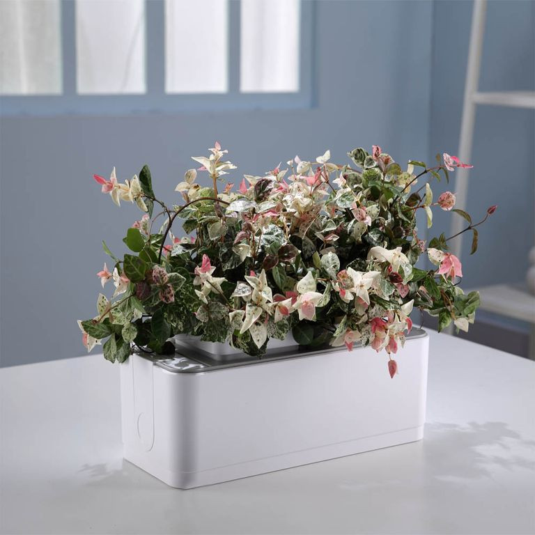 Компактный смарт-сад iGarden