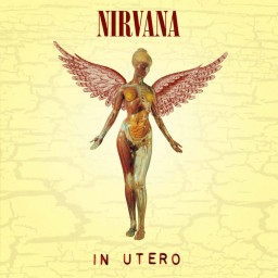 Nirvana: In Utero  20th Anniversary Edition (CD)