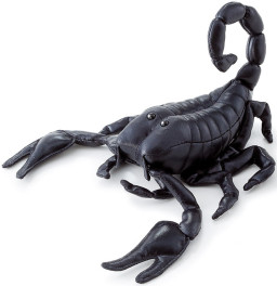 ������ ������� �������� (19 ��)