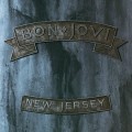 Bon Jovi. New Jersey (2 LP)