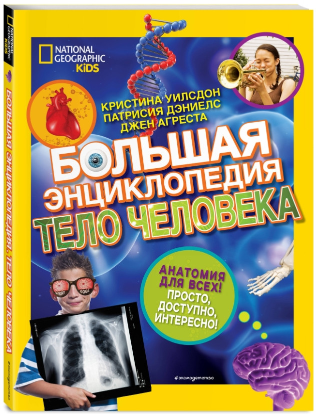 ����� ������� ������������. ���� �������� + ��������� Chainsaw Man