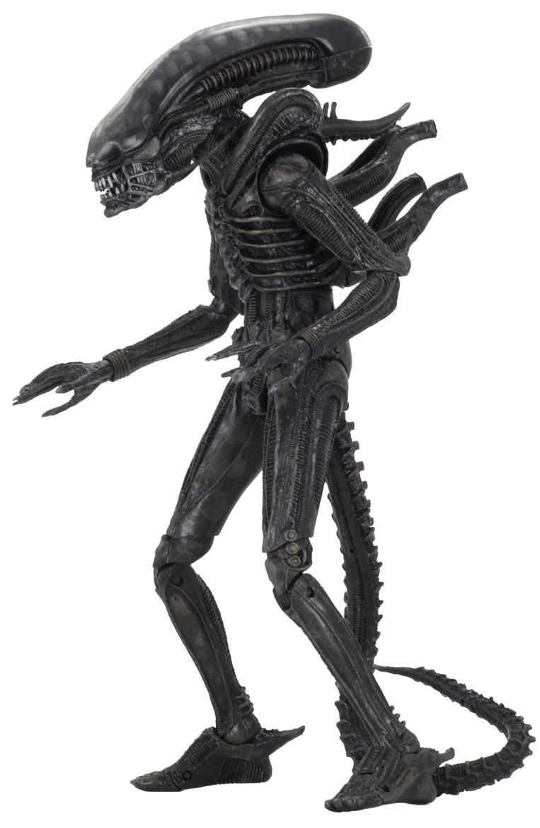  NECA Scale Action Figure: Alien  Big Chap Ultimate Edition (17 )