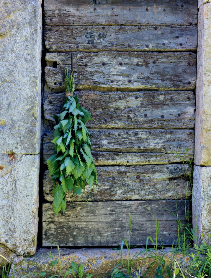 ��������� ������������ � ���� ��������: ������� ����� �������