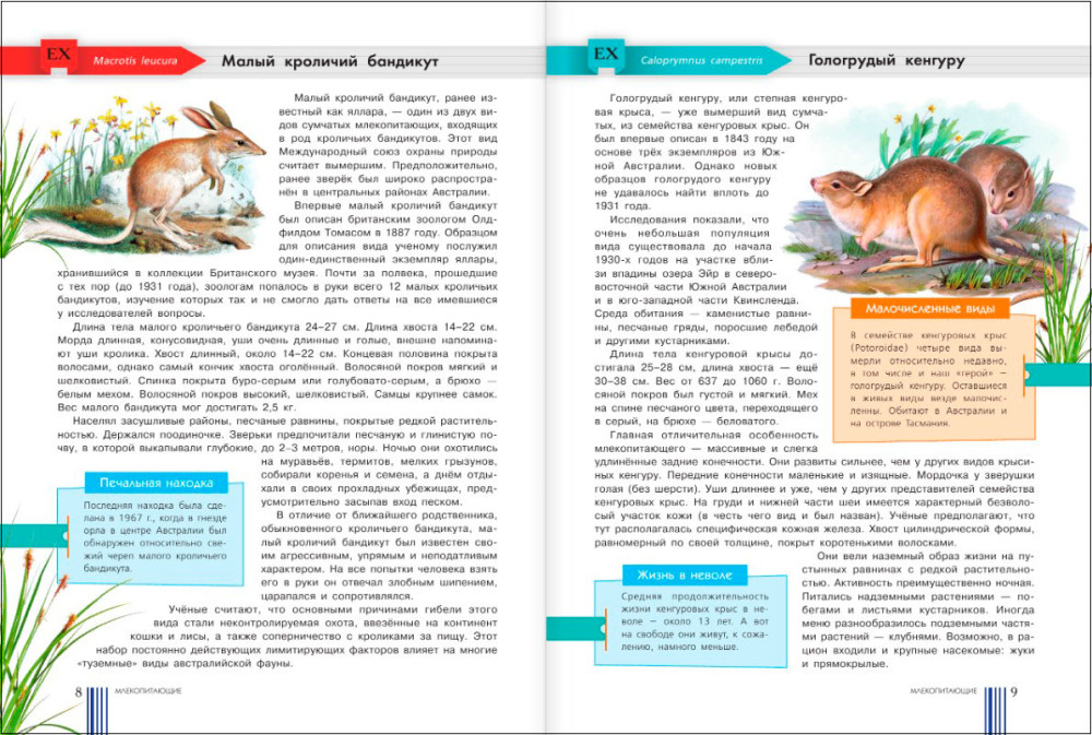 ������� ����� ����: ������ � ����� ��������