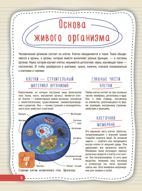 Атлас анатомии человека