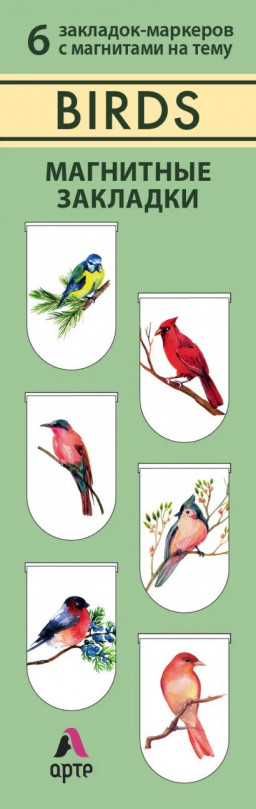  Birds  (6-Pack)