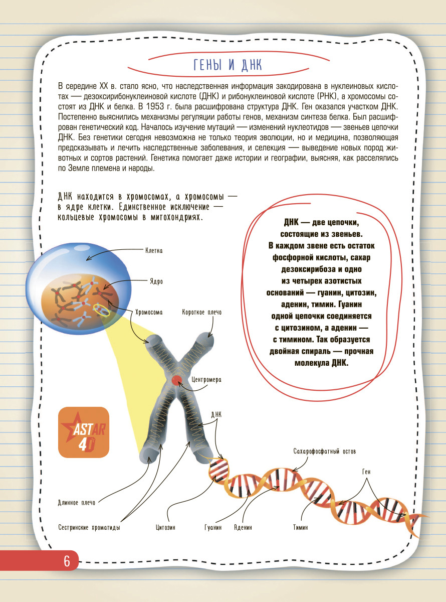 ����� �������� ��������