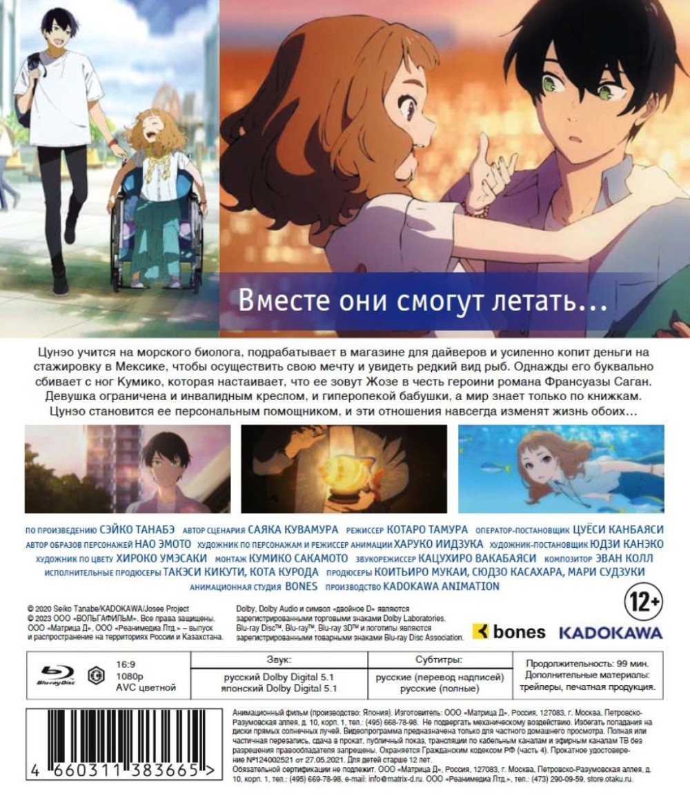 Ее заветное желание (Blu-ray)