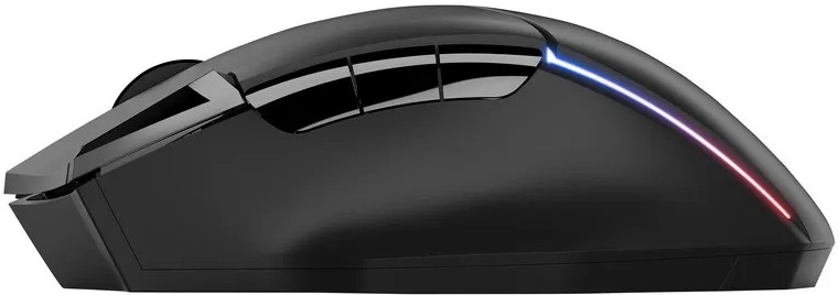 Trust GXT 131 Ranoo Wireless Gaming Mouse    -RGB  PC