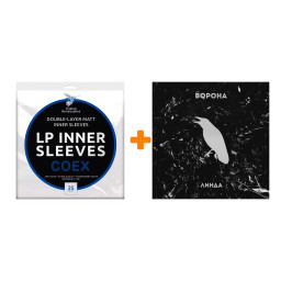     LP +   COEX   12" 25 