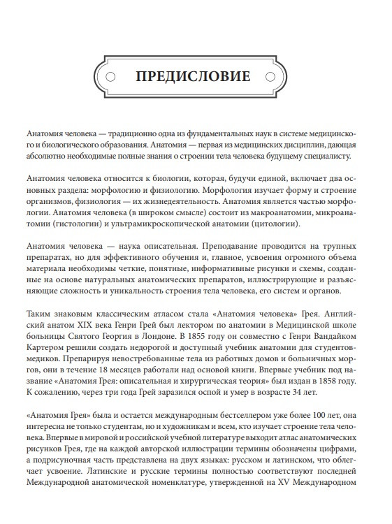 Анатомия Грея