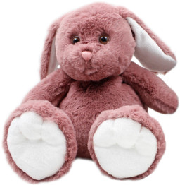 ������ ������� ���� (27 ��)