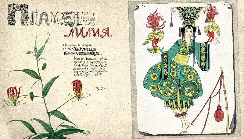 Книга, найденная в кувшинке