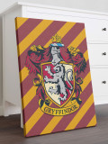Картина Гарри Поттер: Гриффиндорский герб