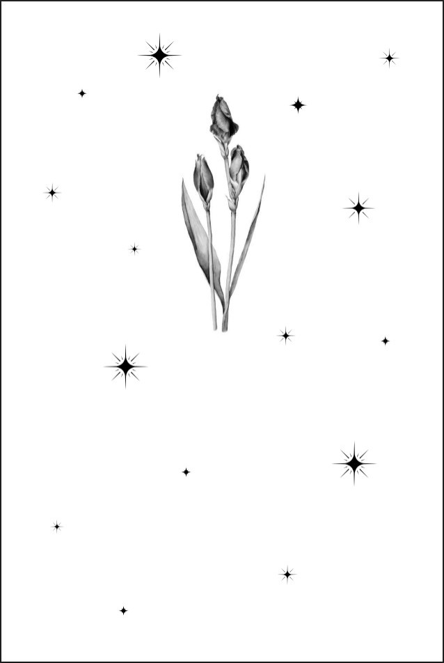 ������ ������� ���� (������ ��������)