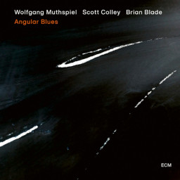 Wolfgang Muthspiel, Scott Colley, Brian Blade  Angular Blues (LP)