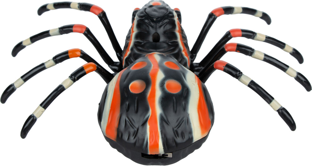 ������� ���� �� ���������� ����������