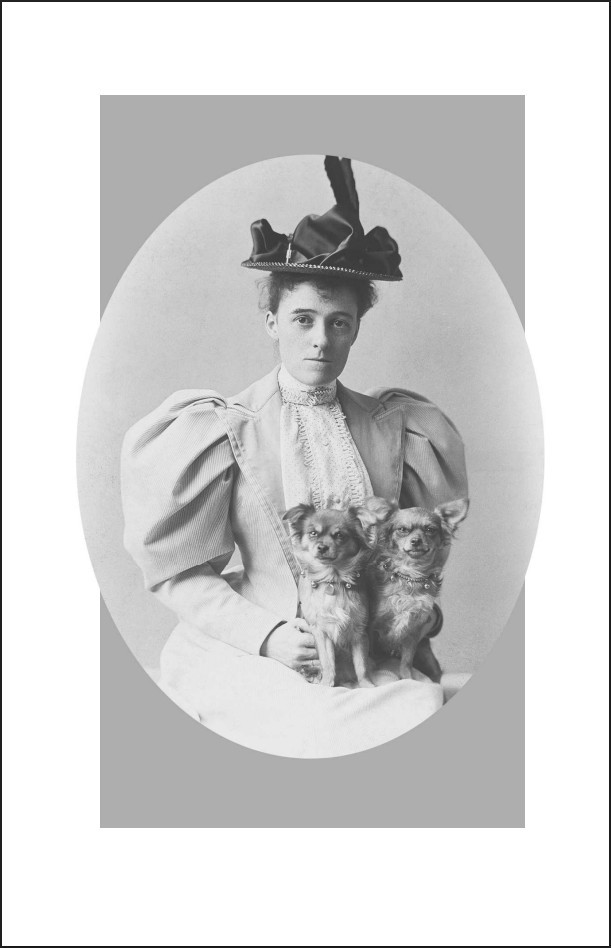 ������������� �������. ����� 11