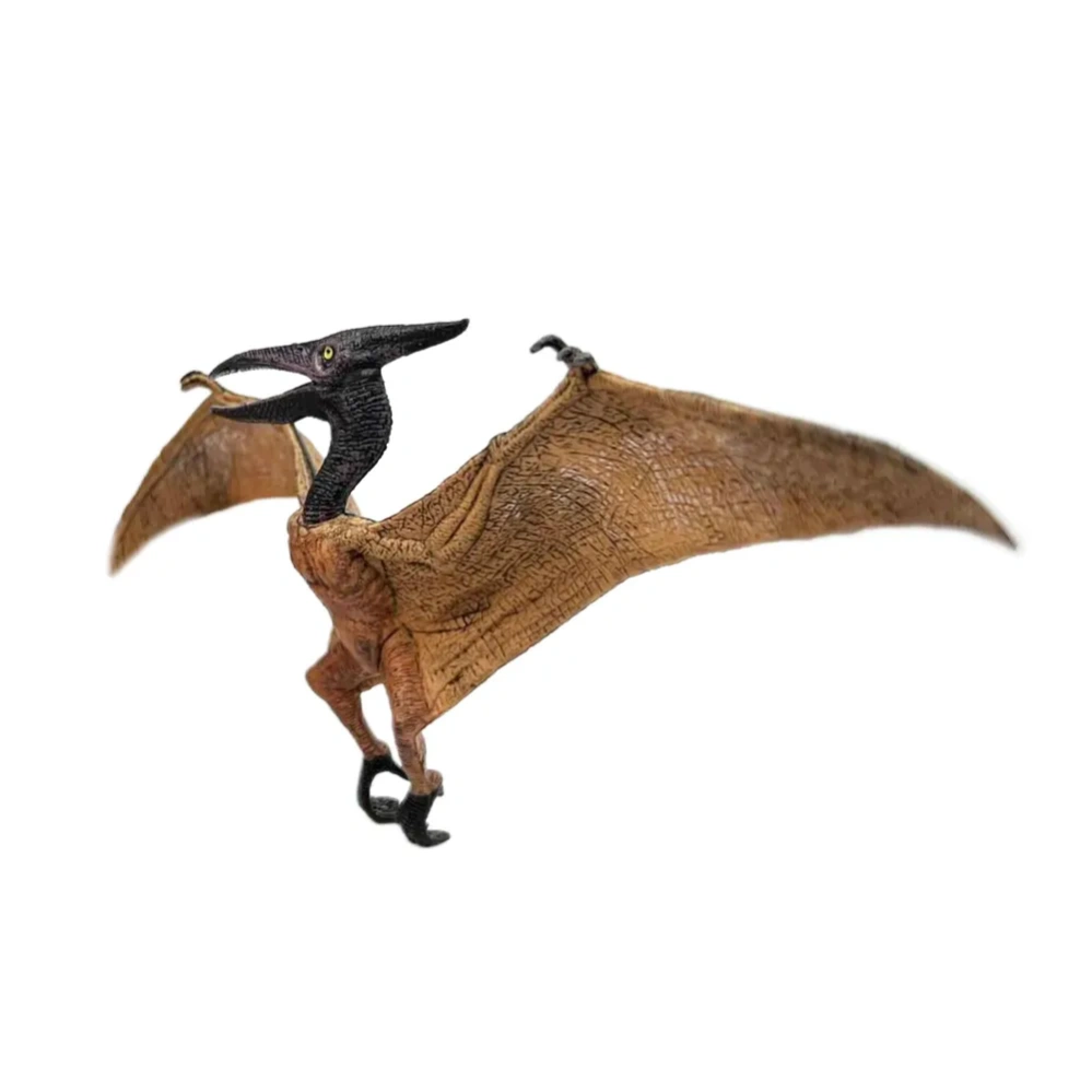 ������� ���������: ���������� (���������� / ����� / ������� / ����������) (M5015)