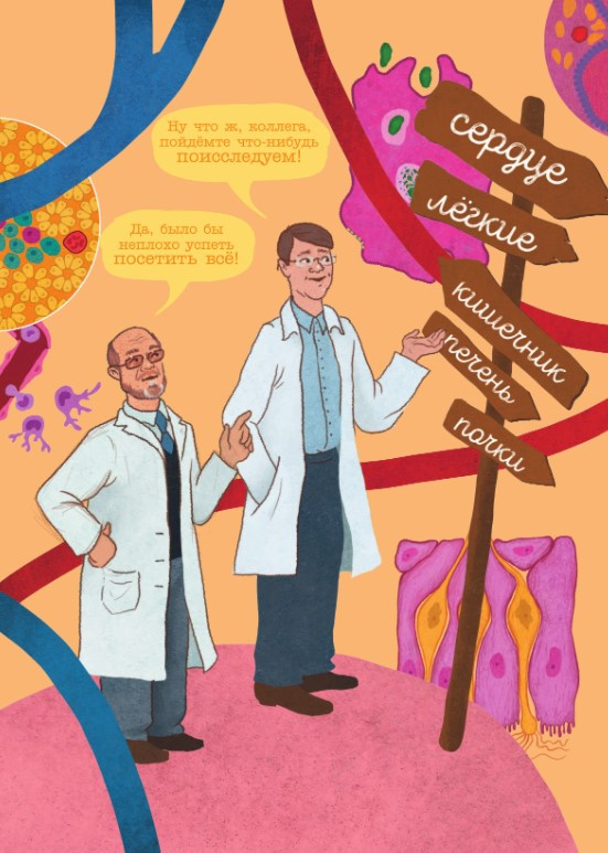 ���� ��������