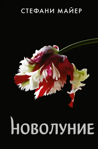   ( ).  . +  Game Of Thrones      2-Pack