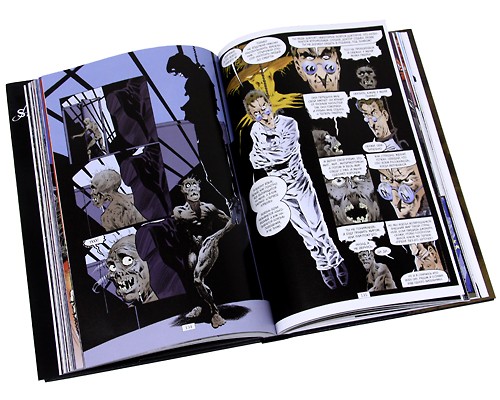Комикс The Sandman: Песочный человек – Прелюдии и ноктюрны. Книга 1