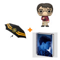  Harry Potter  Harry With The Stone +   +  Magic Portrait 3D