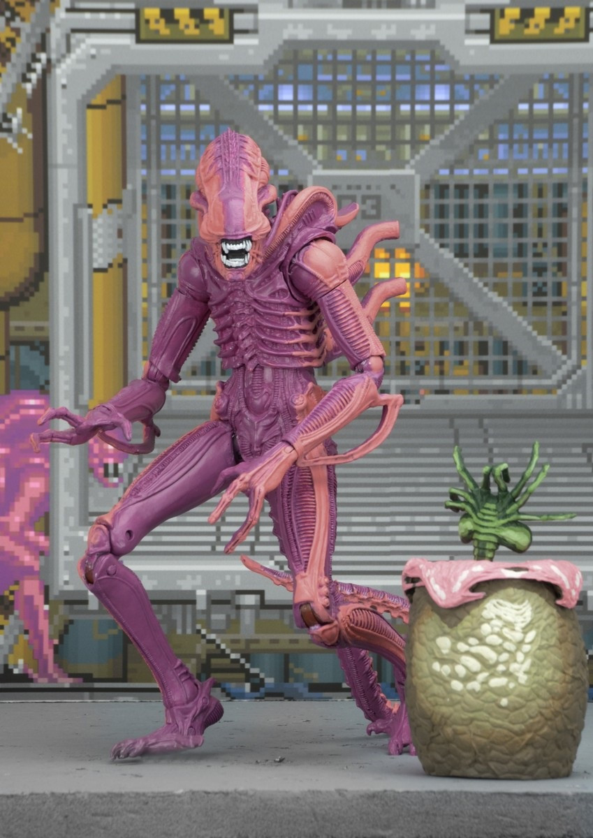 Aliens: Xenomorph Warrior Arcade Appearance (17 )