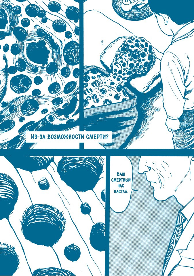 ������ �����: �� ����� �� �������: ����� � ���������� �������� �������