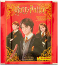 ����� ������� Harry Potter 2021: Witches & Wizards /  ����� ������ � ����������� ��� ����� � ���������