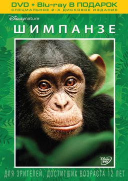 Шимпанзе (DVD + Blu-ray)