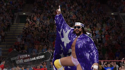 WWE 2K16  [PC, �������� ������]