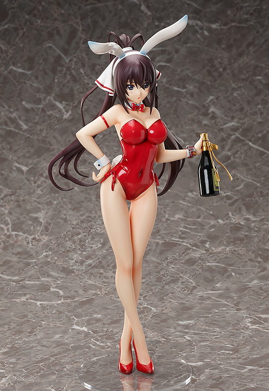 ������� Infinite Stratos: Houki Shinonono � Bare Leg Bunny Ver. (45 ��)